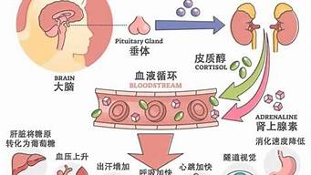 心理压力对肿瘤的影响：如何保持积极心态？(压力与肿瘤的关系)